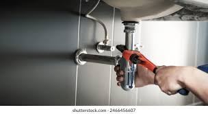 Best Green Plumbing Solutions and Water Conservation  in Lockland, OH